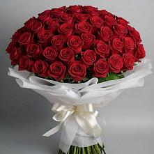 Букет 101 Красная роза Блэк Мэджик #REPLACE_PRED# Починки