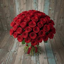 Букет 55 Красных роз Фридом #REPLACE_PRED# Починки