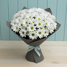 Букет цветов из:  Хризантемы #REPLACE_PRED# Починки