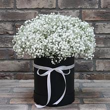 Цветочная композиция из Гипсофила в шляпной коробке #REPLACE_PRED# Починки