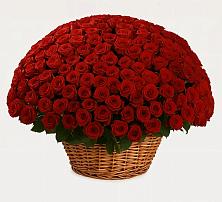 Премиум букет из: Розы в Починки