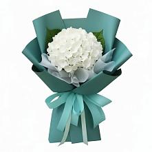 Букет цветов из:  Гортензия в Починки